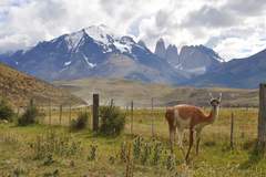 Motorradreise / Tour: Patagonien Motorradtour: Ruta 40 & Carretera Austral Abenteu