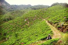 Motorradreise / Tour: Sri Lanka: Motorrad-Tour zu den Highlights entdecken