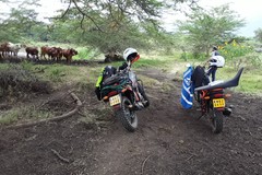 Motorradreise / Tour: Geführte Offroad-Motorradtour & Safari in Kenia